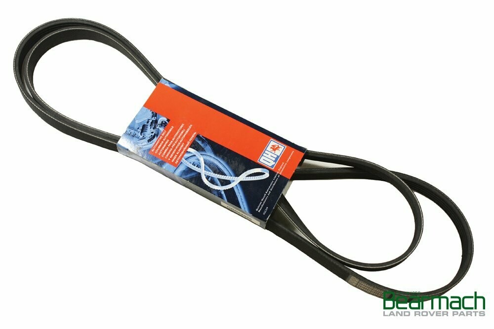 Correa de servicio, Ranger Rover L322 motor 3.0 REF PQS000200
