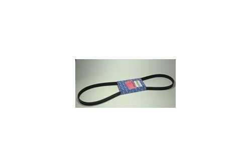 Correa de bomba bomba agua alternador Ranger Rover Classic VM 2.5. REF err914