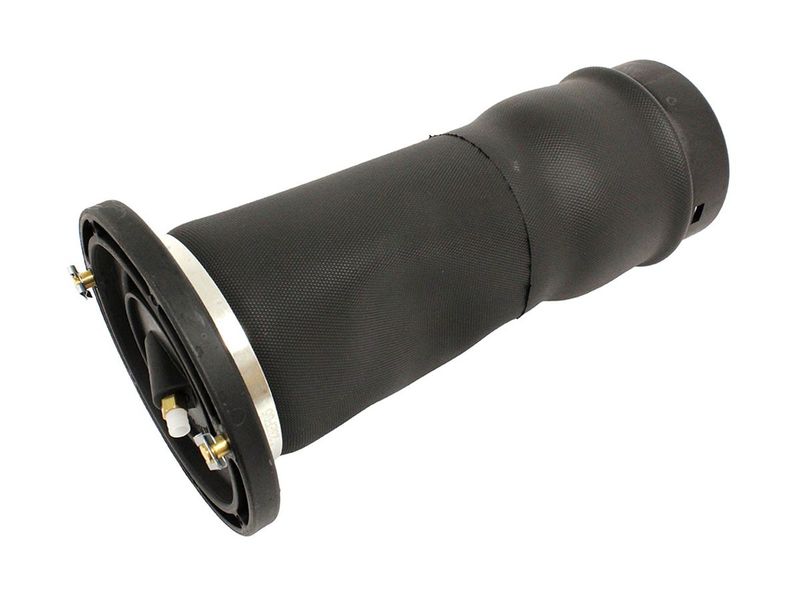 Balonas de suspensión neumática traseros de Land Rover Discovery serie 2 TD5 REF RKB101200PR