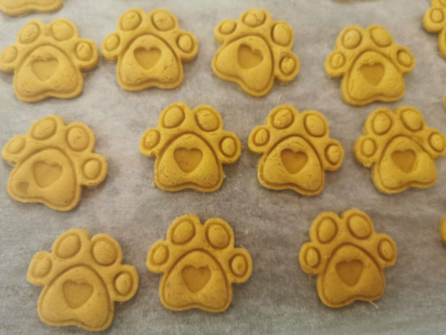 CBD Dog Cookies 16mg each