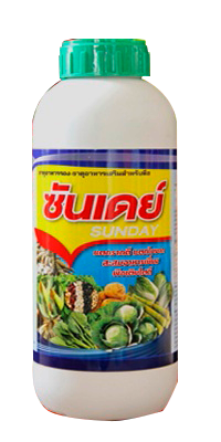ซันเดย์