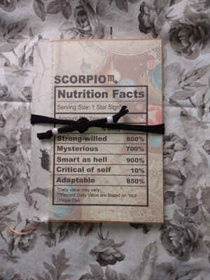 Naked Astrology Sign Journal