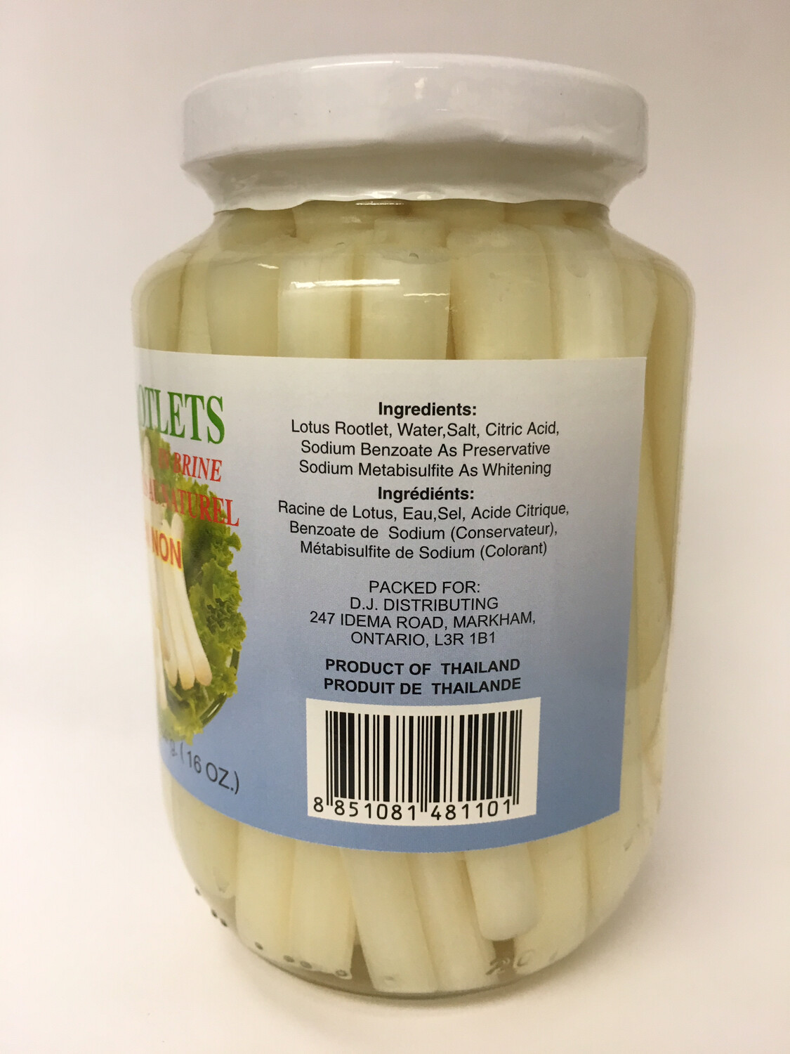 PHOENIX LOTUS ROOTLETS IN BRINE 24X454G
