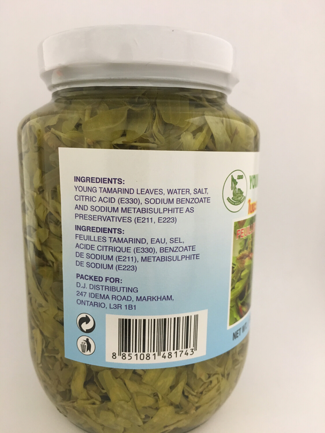 PHOENIX YOUNG TAMARIND LEAVES IN BRINE 24X454G