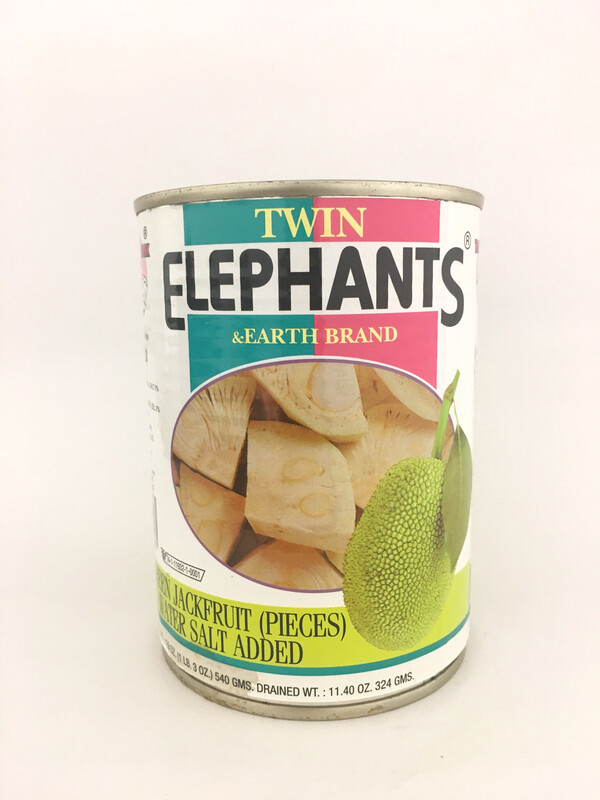 TWIN ELEPHANTS YOUNG JACKFRUIT 24X540G