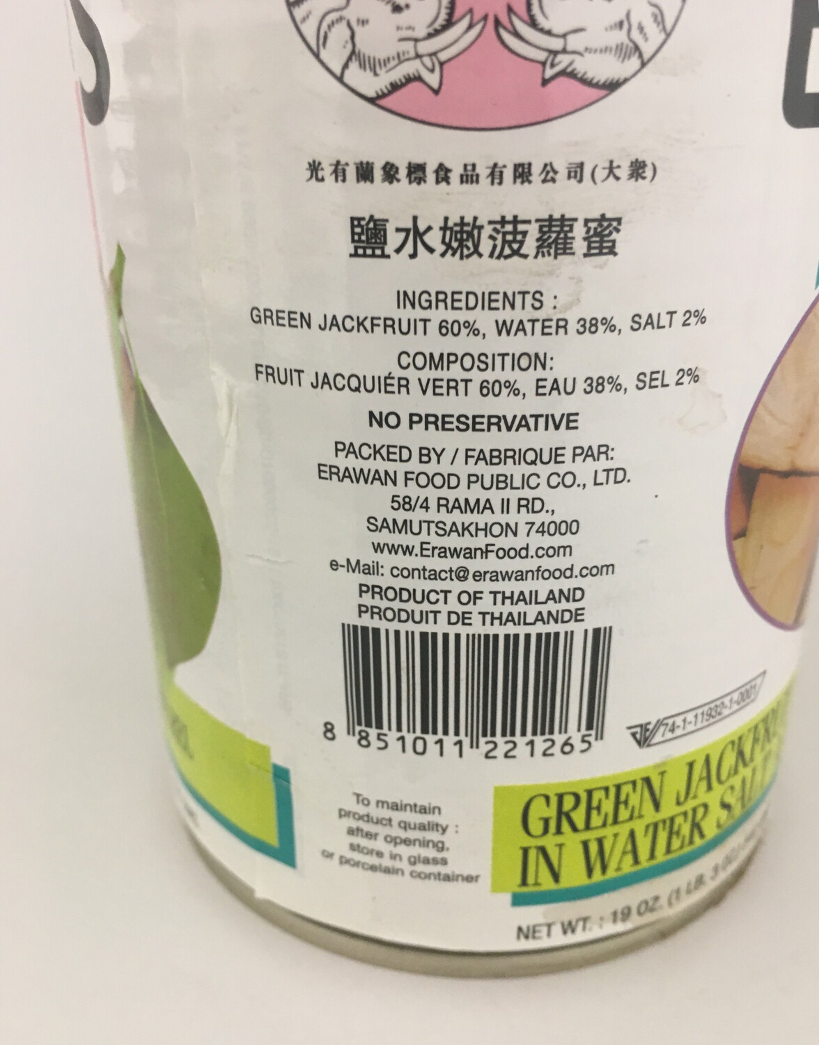 TWIN ELEPHANTS YOUNG JACKFRUIT 24X540G