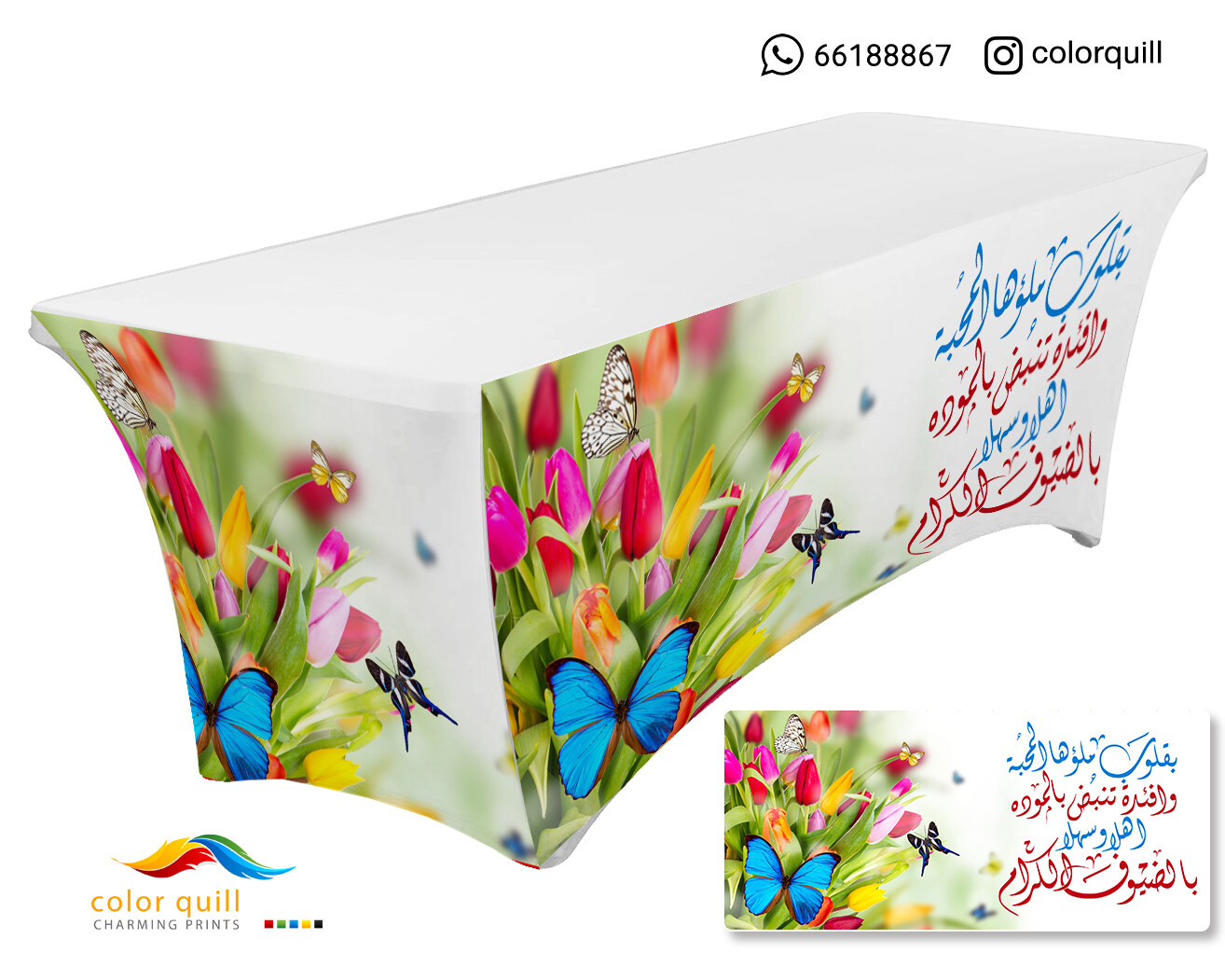 ضيافة 4 - 24 (TF0001)