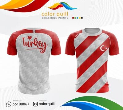 Turkey National team 08