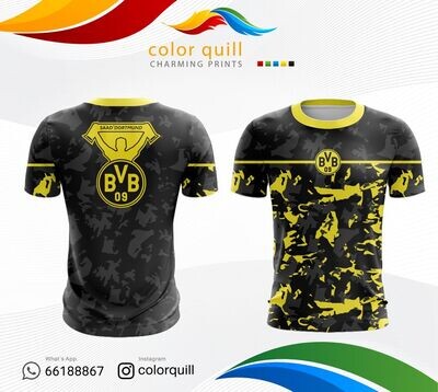 BVB 06