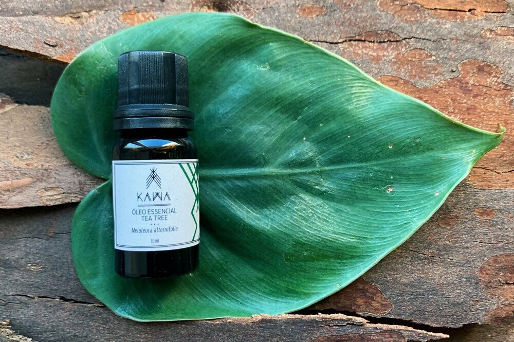 Óleo Essencial de Tea Tree 10ml