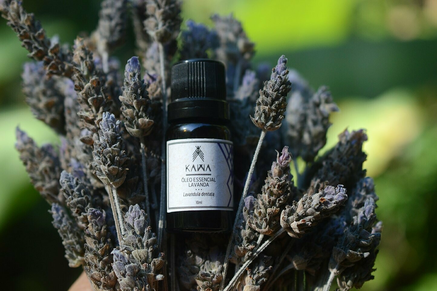 Óleo Essencial Lavanda Brasileira 10ml