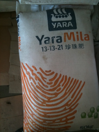 Baja Yara Mila 13:13:21