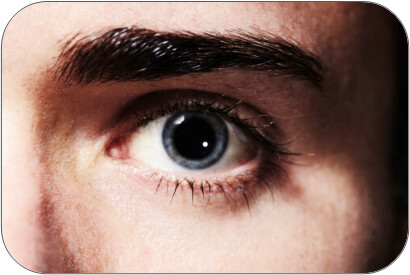 Reasonable Suspicion / Reasonable Cause Drug Testing - Fully Online Training Course