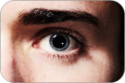 Reasonable Suspicion / Reasonable Cause Drug Testing - Fully Online Training Course