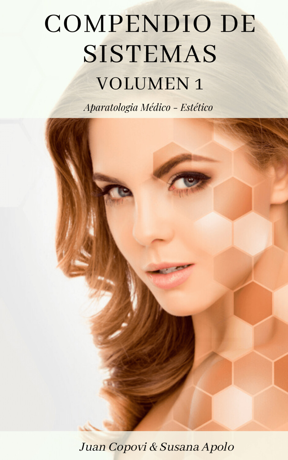 Compendio de Sistemas Volumen I ; E-BOOK
