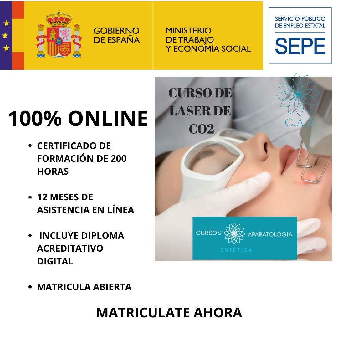 Curso Online Láser Co2 + CERTIFICACIÓN Curso Online Láser Co2 + CERTIFICACIÓN