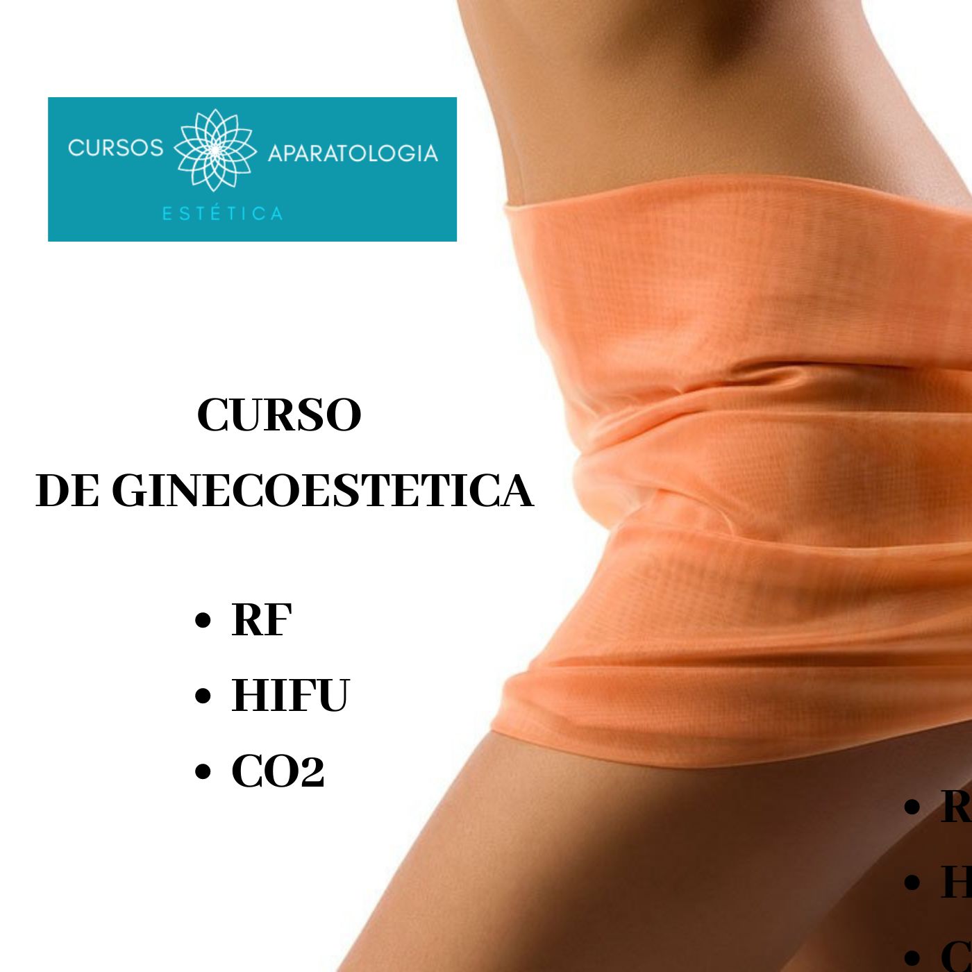CURSO ONLINE DE GINECOESTÉTICA (RF, HIFU y LÁSER CO2)  + CERTIFICACIÓN