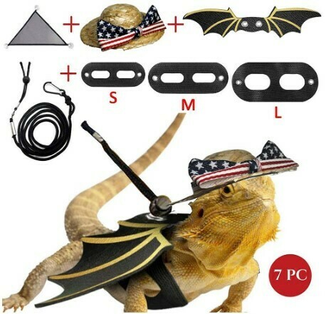 Bearded Dragon Leash Hammock Hat Set