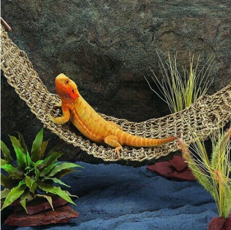 Hanging Bed Mat Bearded Dragons