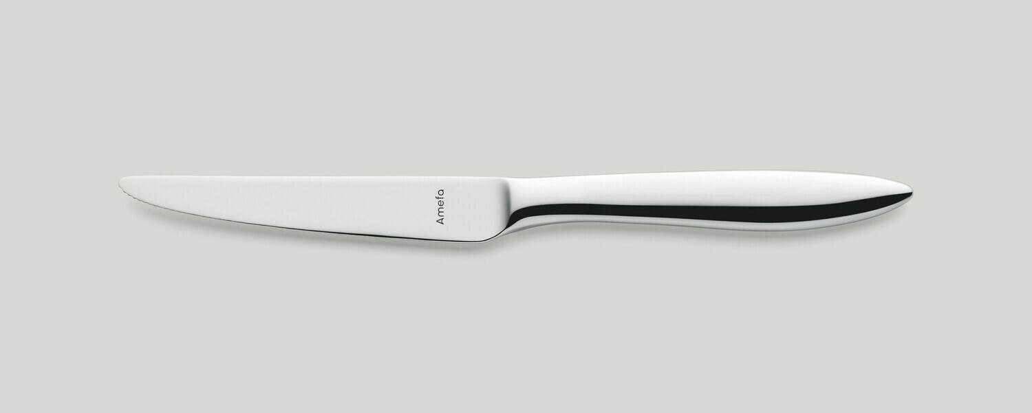 Amefa - Steakmesser Vollheft 230 mm Tendence