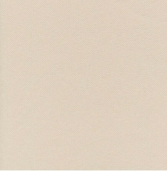 Tovagliolo Napkin 40x40 conf 800 pz