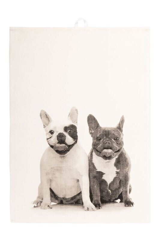 Canovaccio/Strofinaccio con bulldog 50 x 70 cm Crema - Tirolix