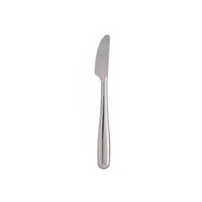 Pintinox - Tafelmesser 160 mm Use &amp; Reuse