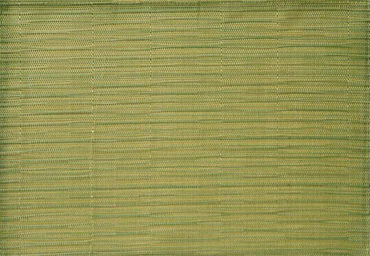 APS - Tovaglietta a nastro stretto 33 x 45 cm Verde