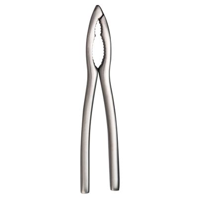 Degrenne - Pinza per crostacei 16 cm