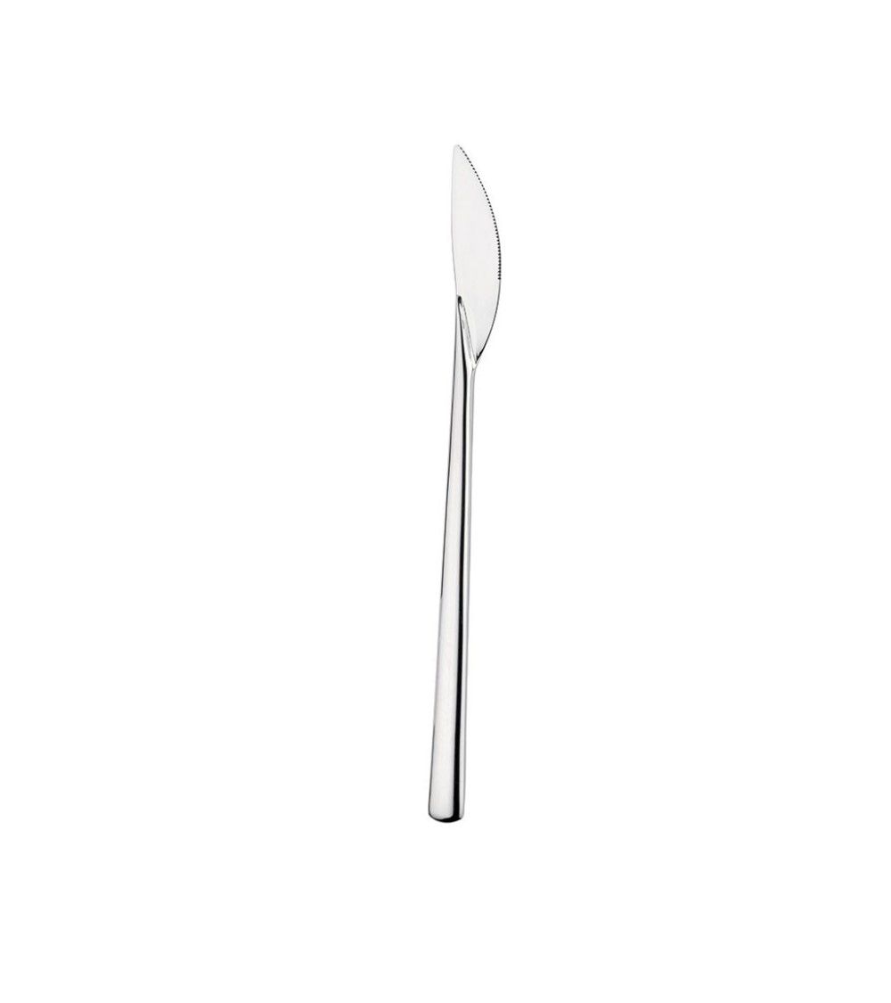 Pintinox - Coltello Tavola Tecna