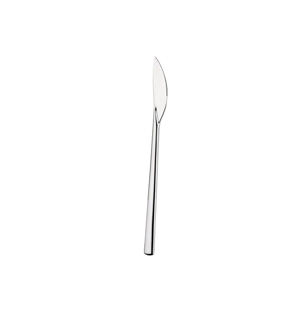 Pintinox - Fruit Knife Tecna