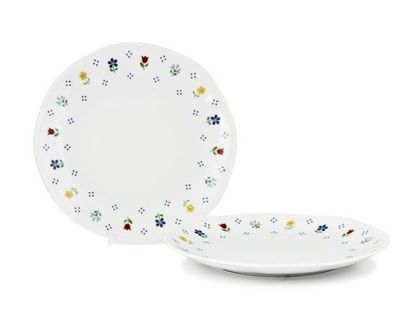 Flachteller 19 cm Jastra Porzellan mit Blumendekor für horeca
