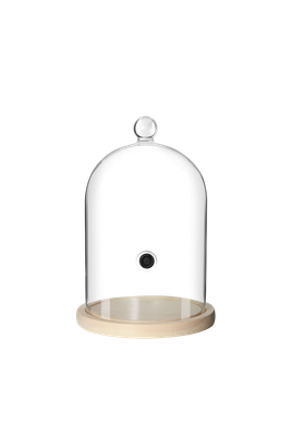 Glass dome for smoker horeca use