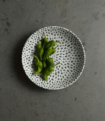Terrazzo Green