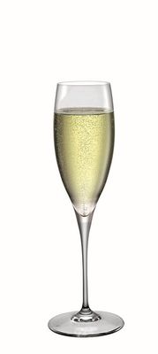 Champagne Glass 26 cl Premium - Bormioli Rocco