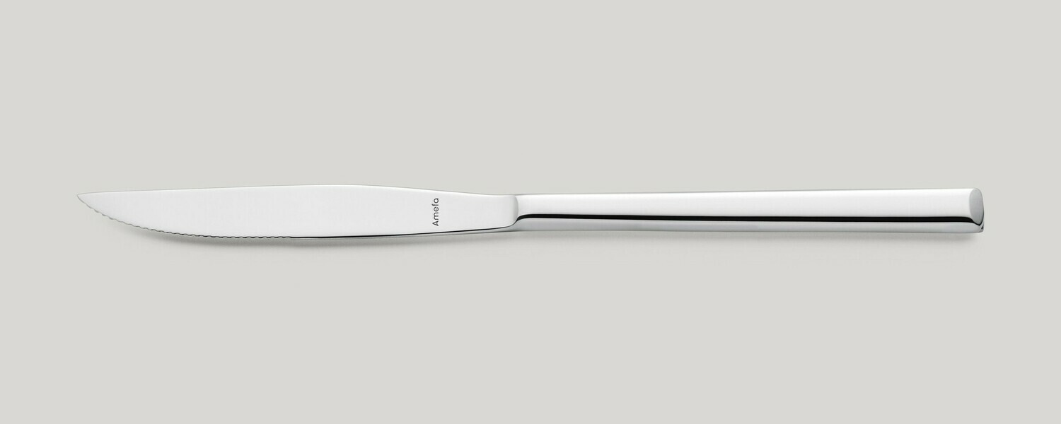 Full-Handle Steak Knife 232 mm Metropole - Amefa