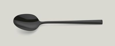 Dining Spoon 210 mm Metropole PVD - Amefa