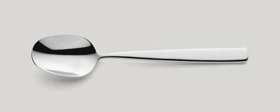 Dinner Spoon 205 mm Tokyo - Amefa