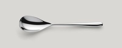 Dessert Spoon 183 mm Newton - Amefa