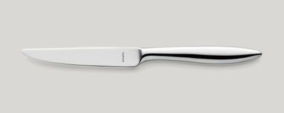 Dinner Knife Full Handle 232 mm Tendence - Amefa