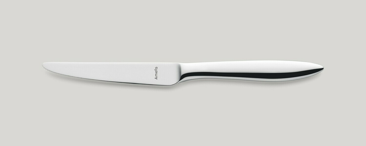 Steak Knife Full Handle 230 mm Tendence - Amefa