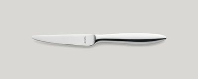Fruit Knife Full Handle 185 mm Tendence - Amefa