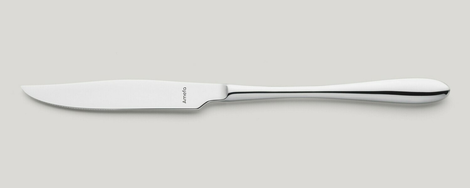 Steak Knife Full Handle 248 mm Cuba - Amefa