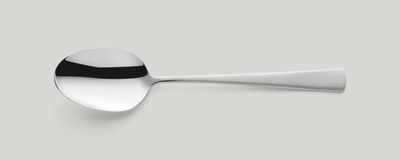 Dining Spoon 195 mm Dante - Amefa