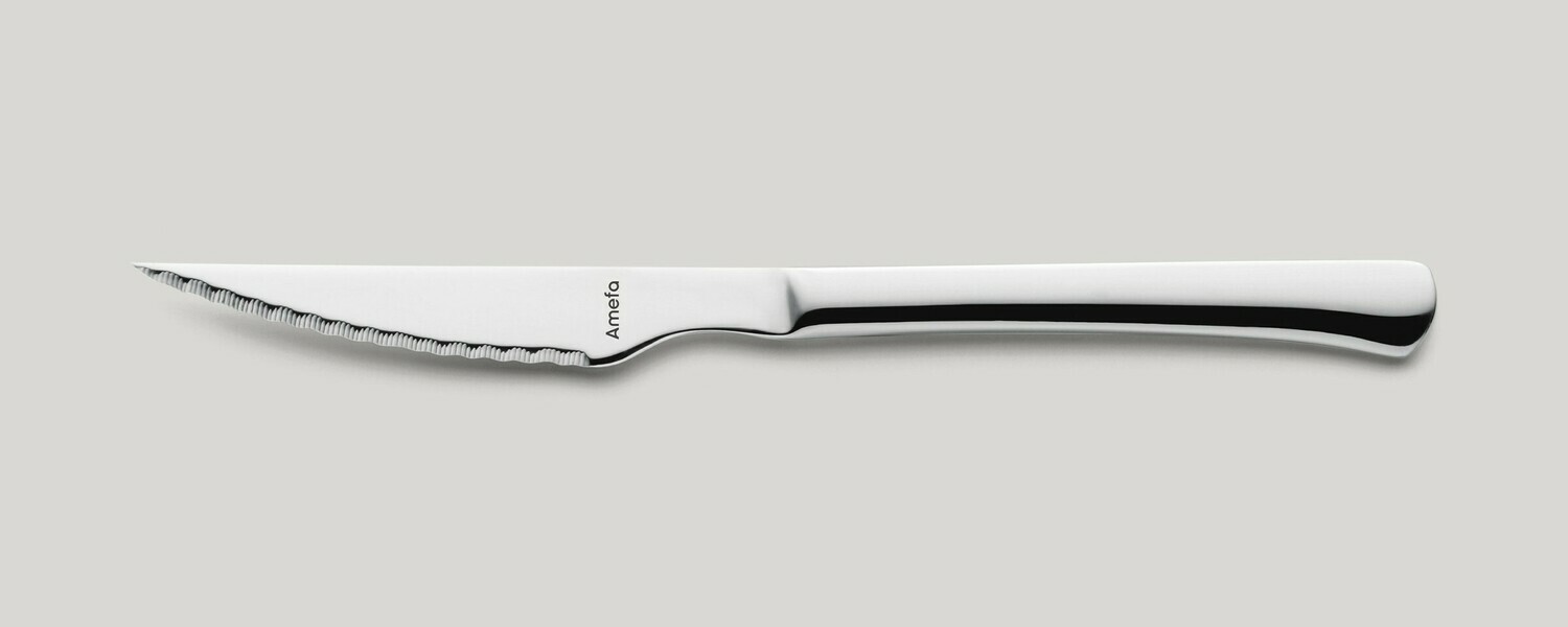 Steak Knife 225 mm Chuletero - Amefa