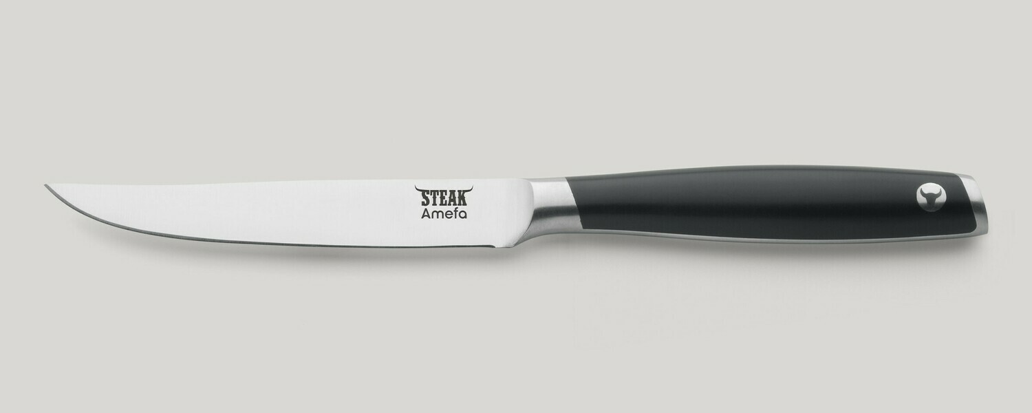 Steak Knife 250 mm Tenderloin - Amefa