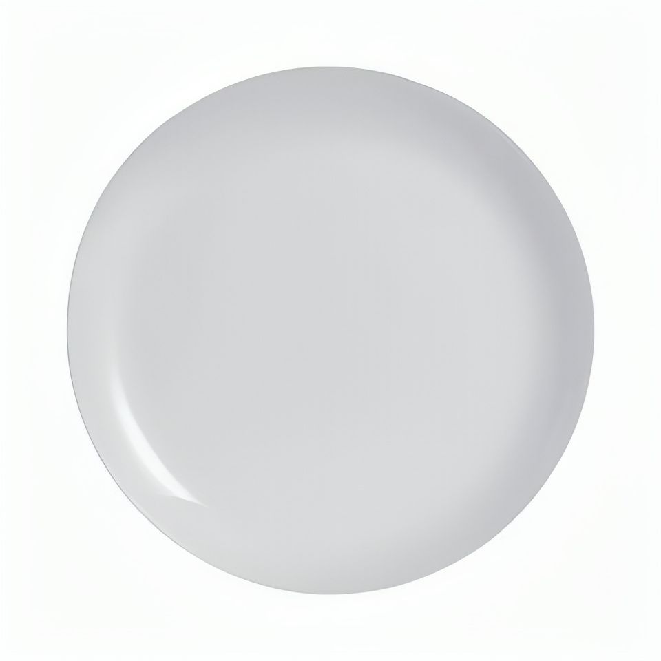 Arcoroc Evolutions White soup plate 26 cm opal glass horeca