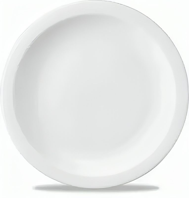 Flat Plate 28 cm Nova White - Churchill