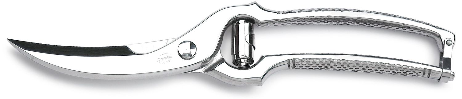Premana Sanelli 25 cm stainless steel poultry shears horeca