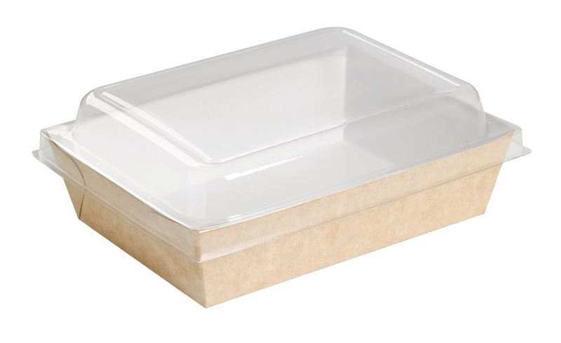 Set mit 200 Stück - Rechteckige Salatschale 22 x 17 cm - Firstpack